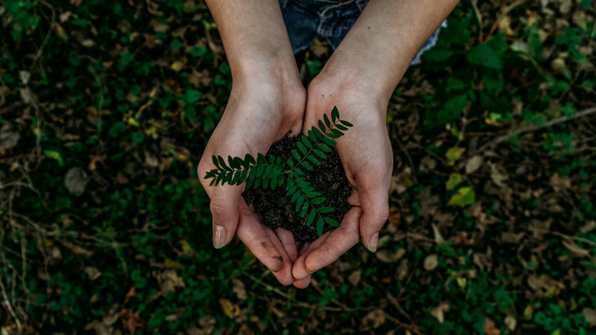 Sustainability Initiatives