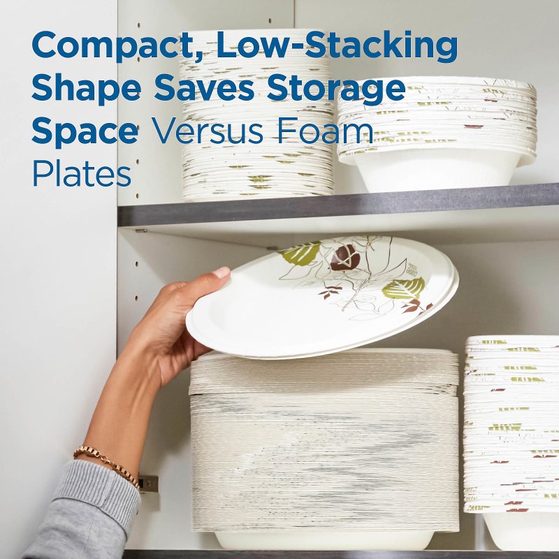 Dixie® Paper Plates, 10", Pathways, Carton Of 500 Plates - Image 9
