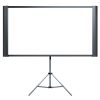Epson® Accolade™ Duet™ Ultra Portable Projection Screen
