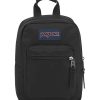 JanSport Big Break Lunch Bag, 9-1/4”H x 8-5/8”W x 3”D, 70% Recycled, Black