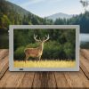 beFree Sound Portable Rechargeable 14" LED TV, Gray, 995116758M - Image 8